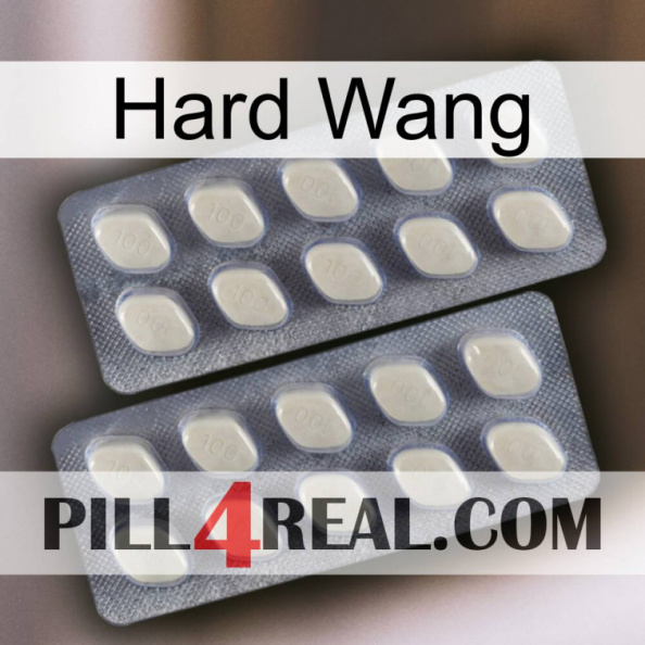 Hard Wang 07.jpg